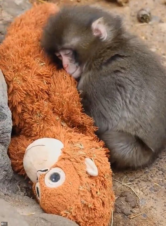 "Punchy’s" Stuffed Pal